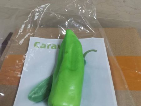 Caravion Artificial vegetables, realistic vegetable decoration photo props Hot on Sale