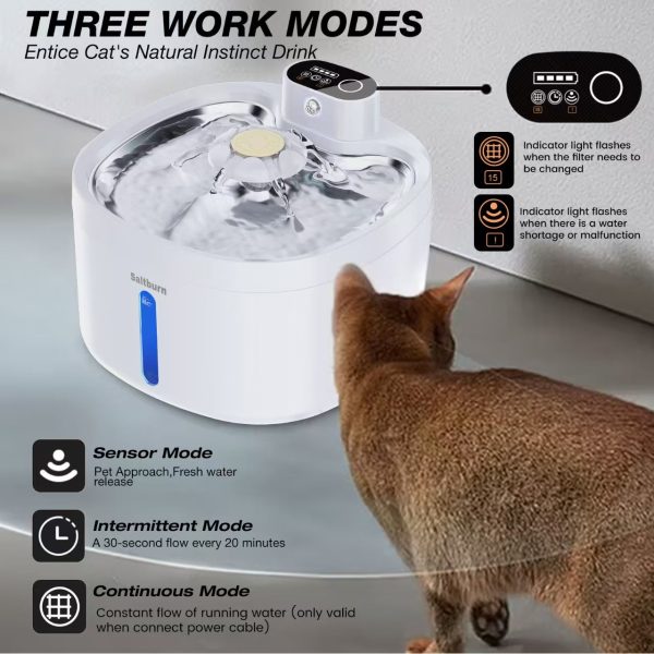 Saltburn pet water dispenser, indoor intelligent automatic cordless water dispenser Supply