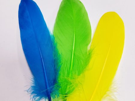 Sparkling Garlands Feathers for ornamentation，Suitable for DIY crafts, wedding, family, and party decorations For Cheap