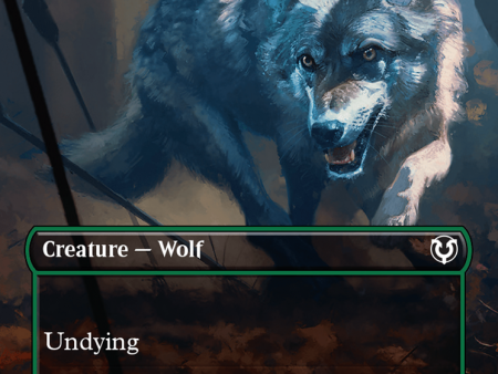 Young Wolf (Borderless) [Innistrad Remastered] Fashion