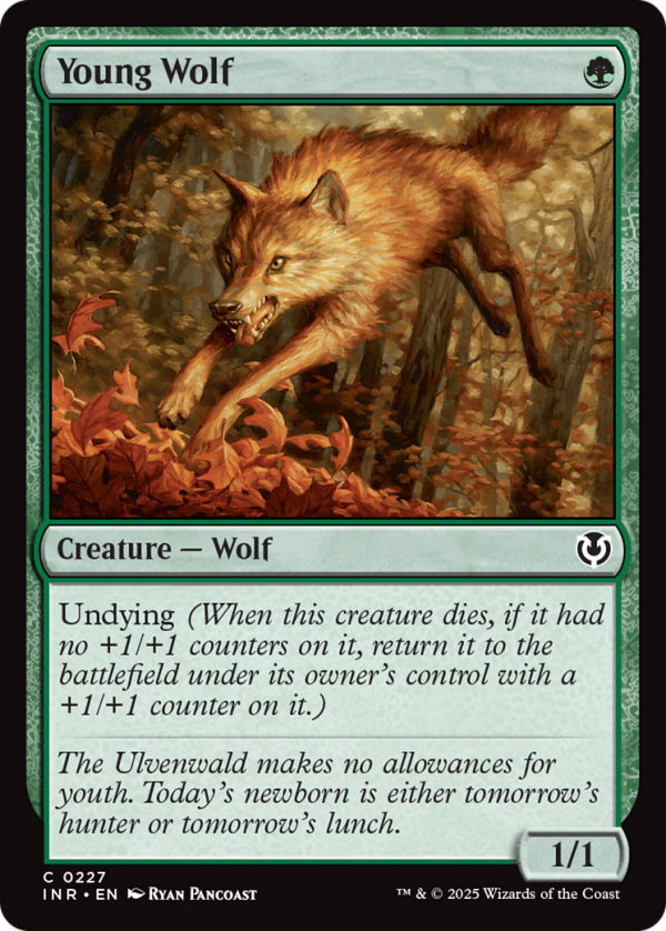 Young Wolf [Innistrad Remastered] Supply