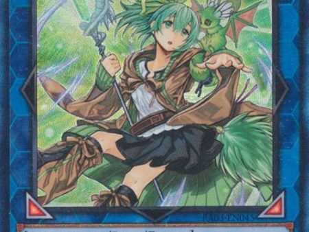 Wynn the Wind Charmer, Verdant (CR) [RA03-EN045] Prismatic Collector s Rare Online now