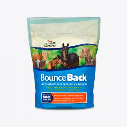 Manna Pro Bounce Back® Online Sale