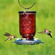 Perky-Pet® Red Mason Jar Glass Hummingbird Feeder - 32 oz Nectar Capacity Sale