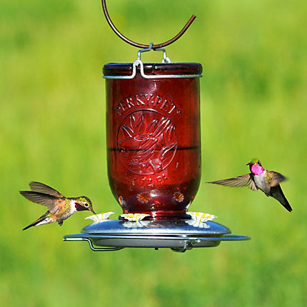 Perky-Pet® Red Mason Jar Glass Hummingbird Feeder - 32 oz Nectar Capacity Sale