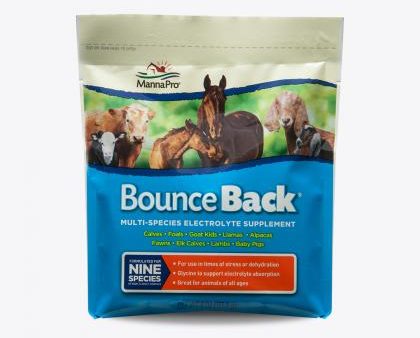 Manna Pro Bounce Back® Online Sale