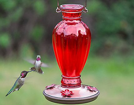 Perky-Pet® Daisy Vase Vintage Hummingbird Feeder - 18 oz Nectar Capacity Discount