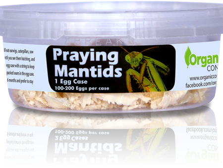 Organic Control Praying Mantids Online Hot Sale