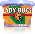 Organic Control Ladybugs Online Sale