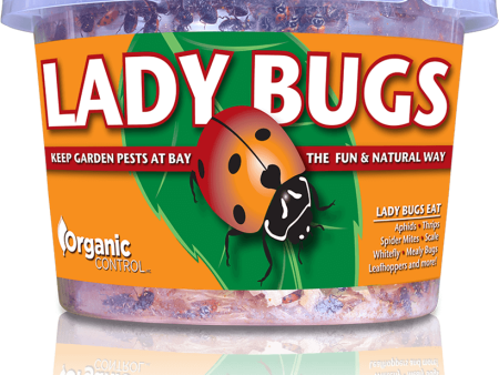 Organic Control Ladybugs Online Sale