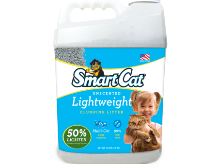 Pioneer Pet SmartCat Lightweight Unscented Clumping Clay Cat Litter Online now