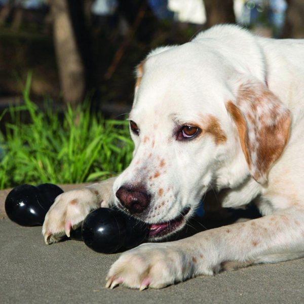 KONG Extreme Goodie Bone Dog Toy For Sale