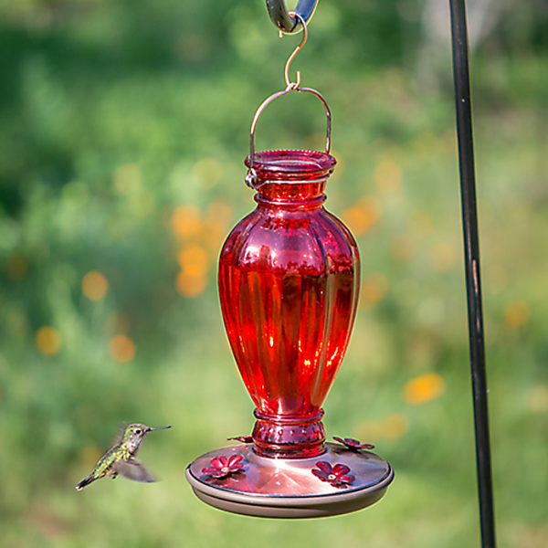 Perky-Pet® Daisy Vase Vintage Hummingbird Feeder - 18 oz Nectar Capacity Discount