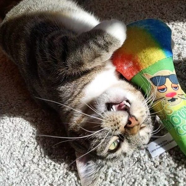 Meowijuana Get Chilled Refillable Snow Cone Cat Toy Online Hot Sale