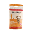 FirstMate Pet Foods Mini Trainers Grass Fed Lamb Meal & Blueberries Dog Treats Supply