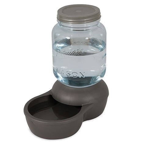 Petmate Mason Jar Gravity Pet Waterer (Small 1 Gallon) Hot on Sale