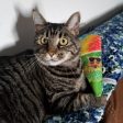 Meowijuana Get Chilled Refillable Snow Cone Cat Toy Online Hot Sale