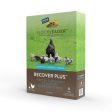 FlockLeader RECOVER PLUS Cheap