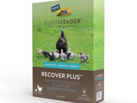 FlockLeader RECOVER PLUS Cheap