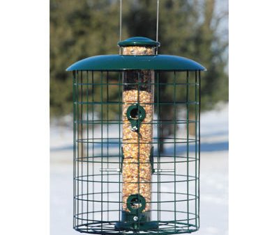 Woodlink Caged Squirrel Resistant Tube Bird Feeder Hot on Sale