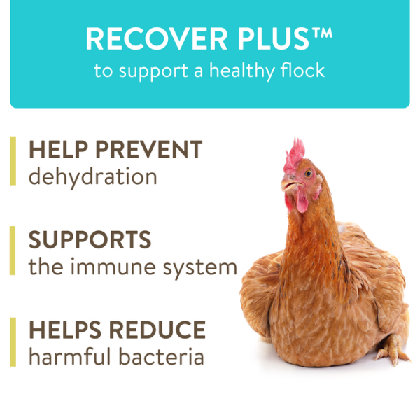 FlockLeader RECOVER PLUS Cheap