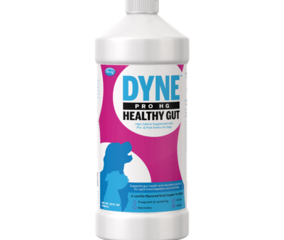 PetAg Dyne™ PRO HG Healthy Gut for Dogs For Discount