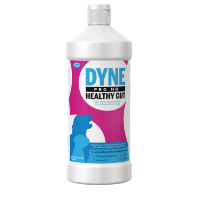 PetAg Dyne™ PRO HG Healthy Gut for Dogs For Discount