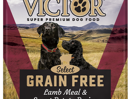 Victor Grain Free Lamb Meal & Sweet Potato Recipe Dry Dog Food Supply