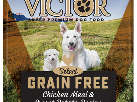 Victor Pet Grain Free Chicken Meal & Sweet Potato Recipe Online